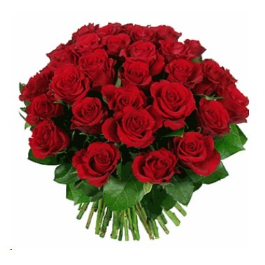 Bouquet de tres docenas de rosas